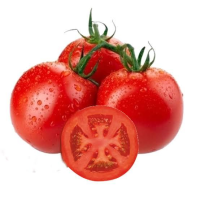 imagem de Tomate Longa Vida [Kg]