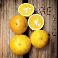 imagem de Laranja Serra d'Água - [kg]