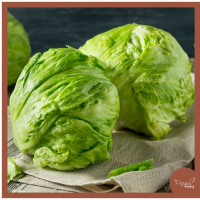 imagem de Alface Americana sem agrotóxico [1 und.]