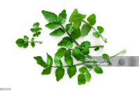 imagem de Agrião [100g]